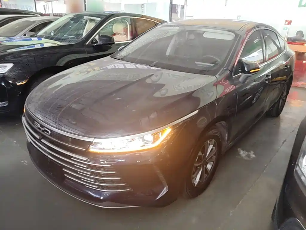 BYD Destroyer 05 2024 Glory Edition DM-i 55KM Luxury