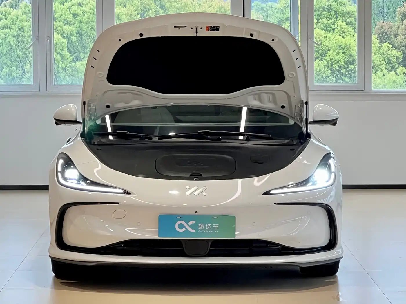 ZHIJI AUTOMOBILE ZHIJI L6