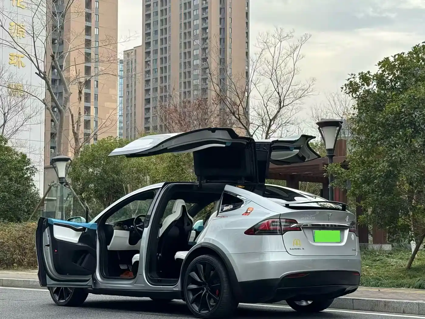 TESLA MODEL X