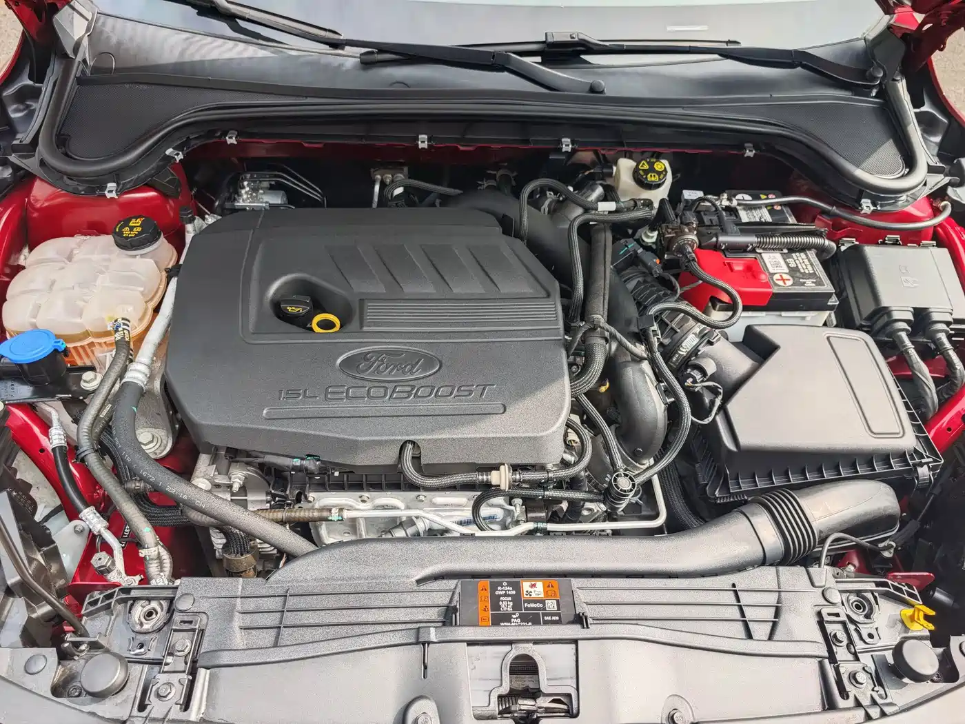 Ford Focus 2022 2022 Hatchback EcoBoost 180 Auto Speed Edition