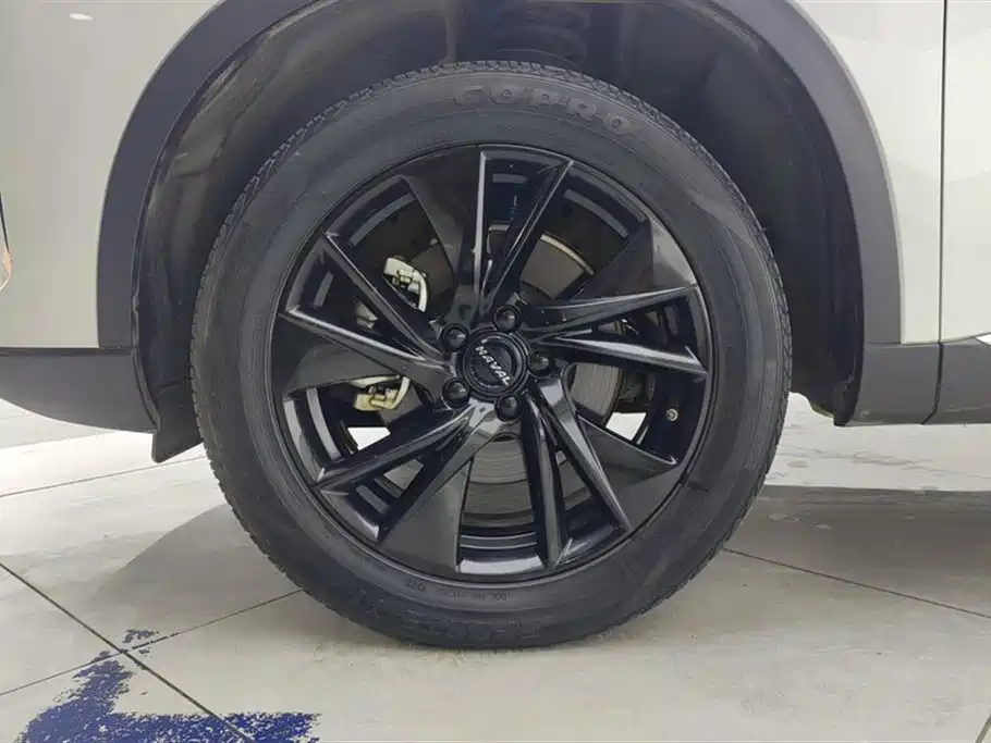 Haval H6 2021 3rd Generation 2.0T Auto 2WD Max фото 6