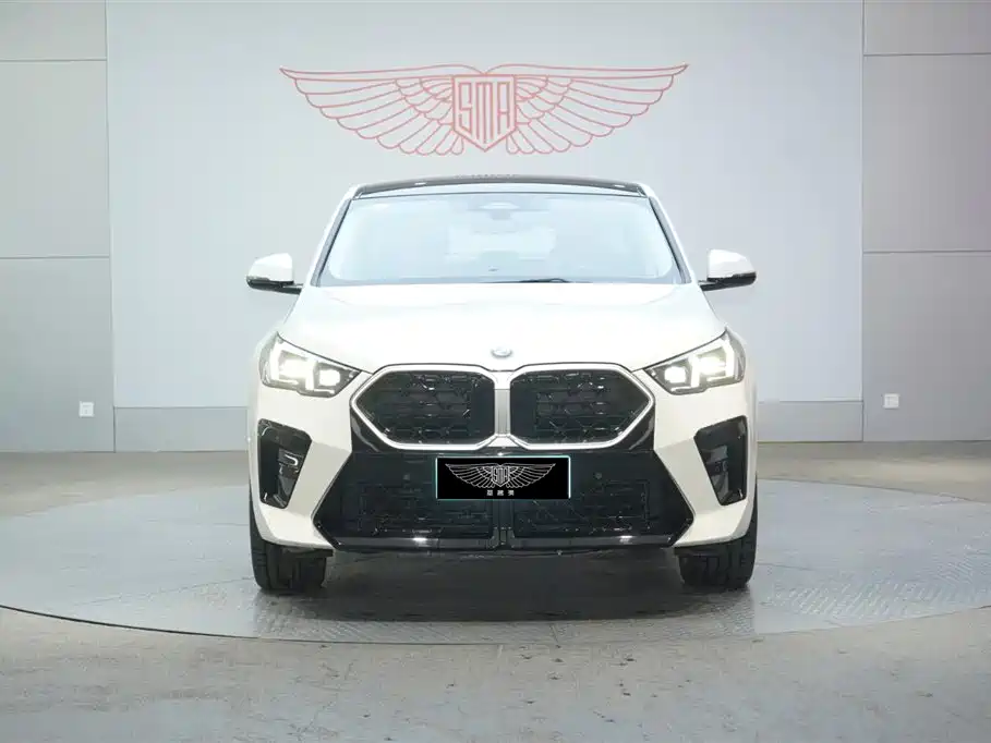 BMW X2 (Import) 2024 sDrive25i M Sport Package фото 4