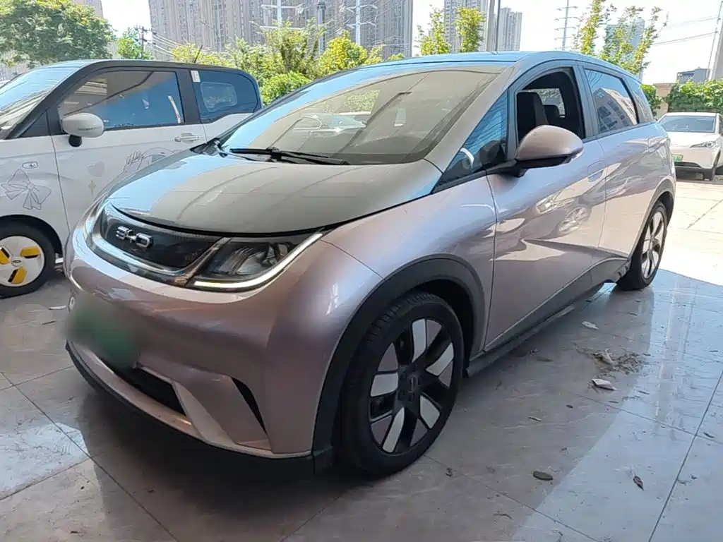 BYD Dolphin 2021