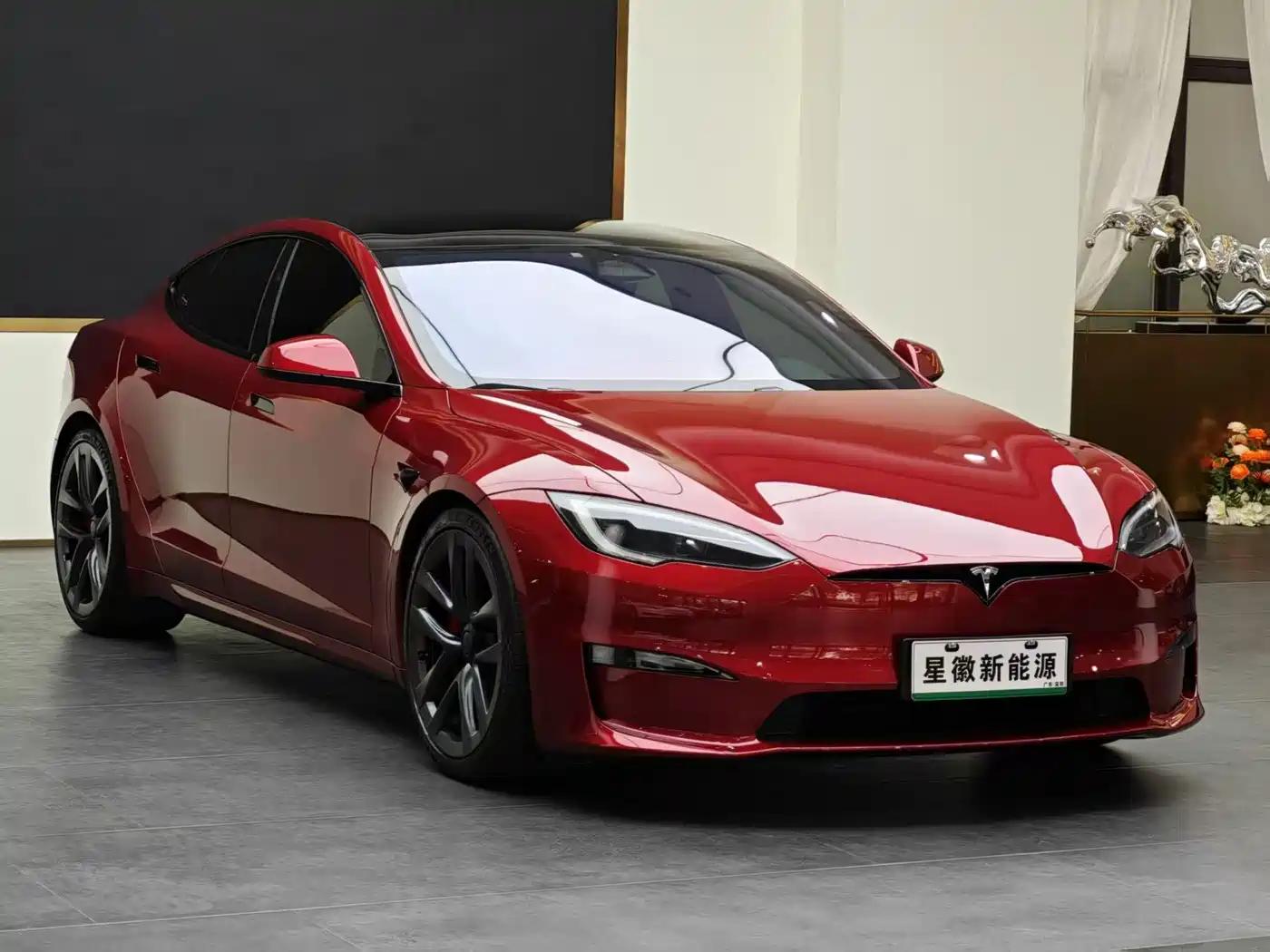 TESLA MODEL S