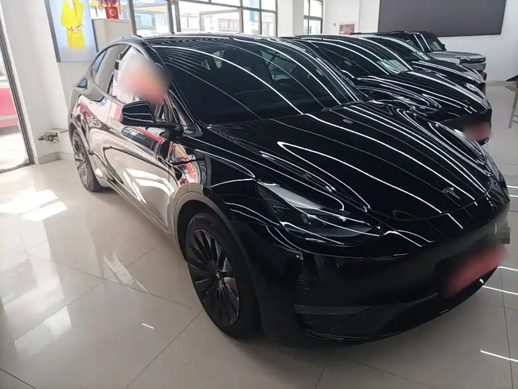 Tesla Model Y 2021 2021 Standard Range Rear-Wheel Drive