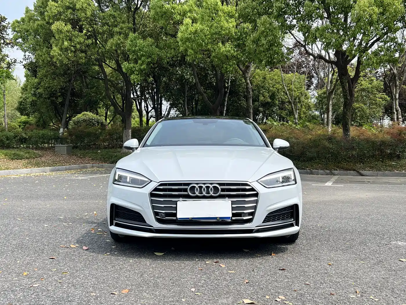 Audi A5 (Import) 2019 Sportback 40 TFSI Fashion фото 2