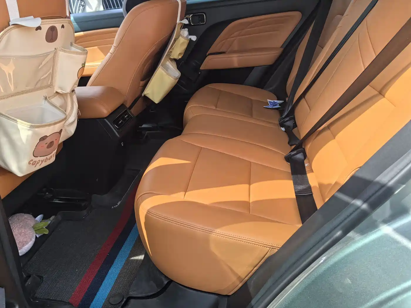 HAVAL RAPTORS NEW ENERGY