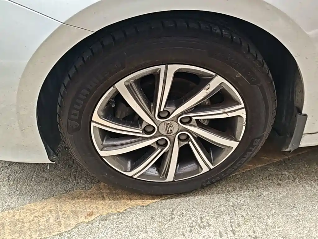 Фото 21 - Geely Binrui