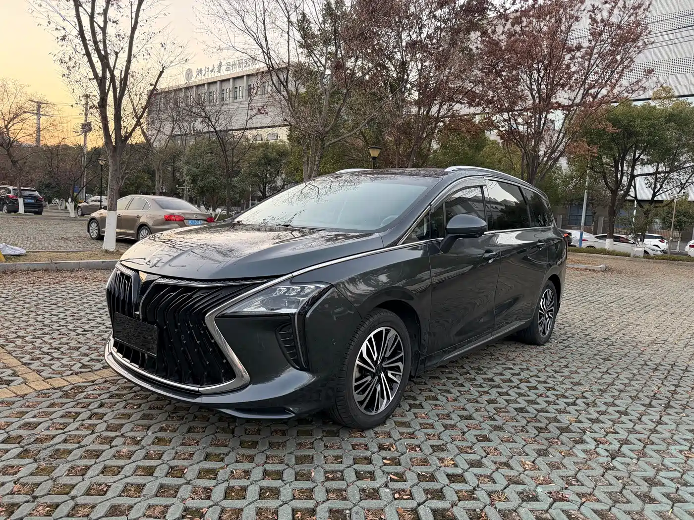 DONGFENG POPULAR YACHTS