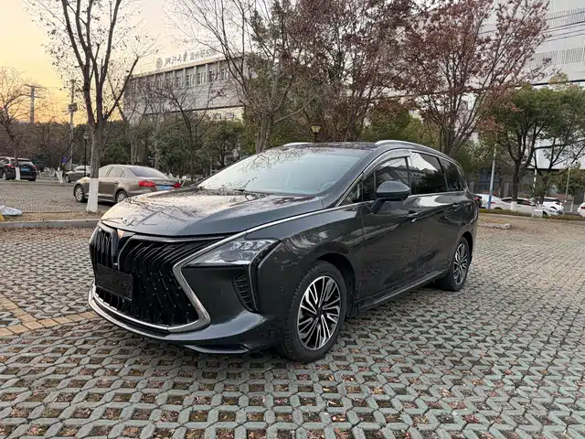 DONGFENG POPULAR YACHTS