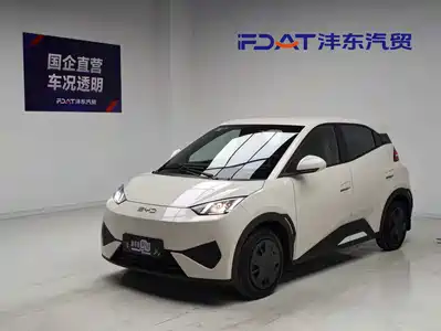 BYD Seagull