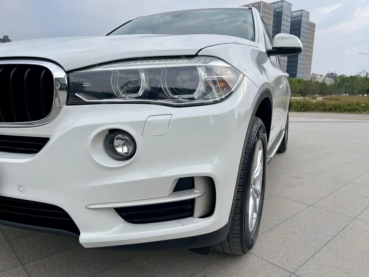 BMW X5 (Import) 2014 xDrive35i Leading фото 4