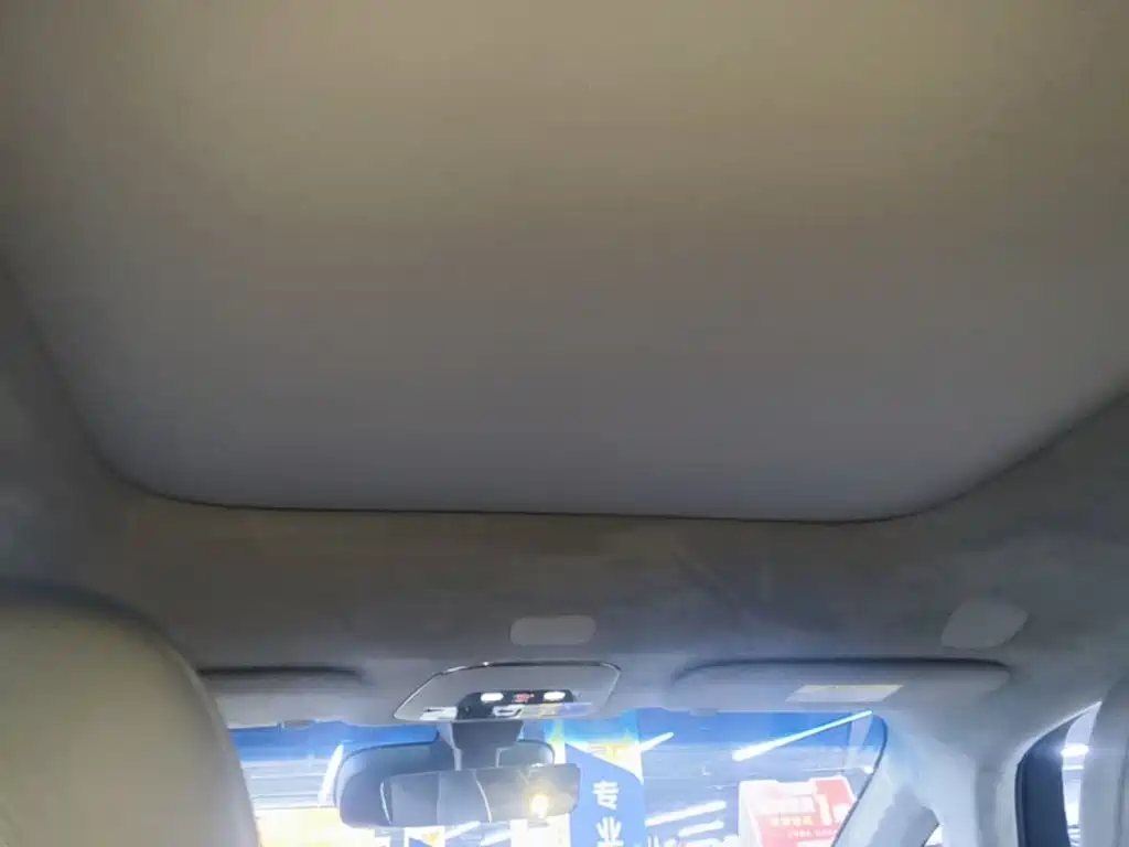 ZEEKR MIX 2026 2025 Smart Driving Edition