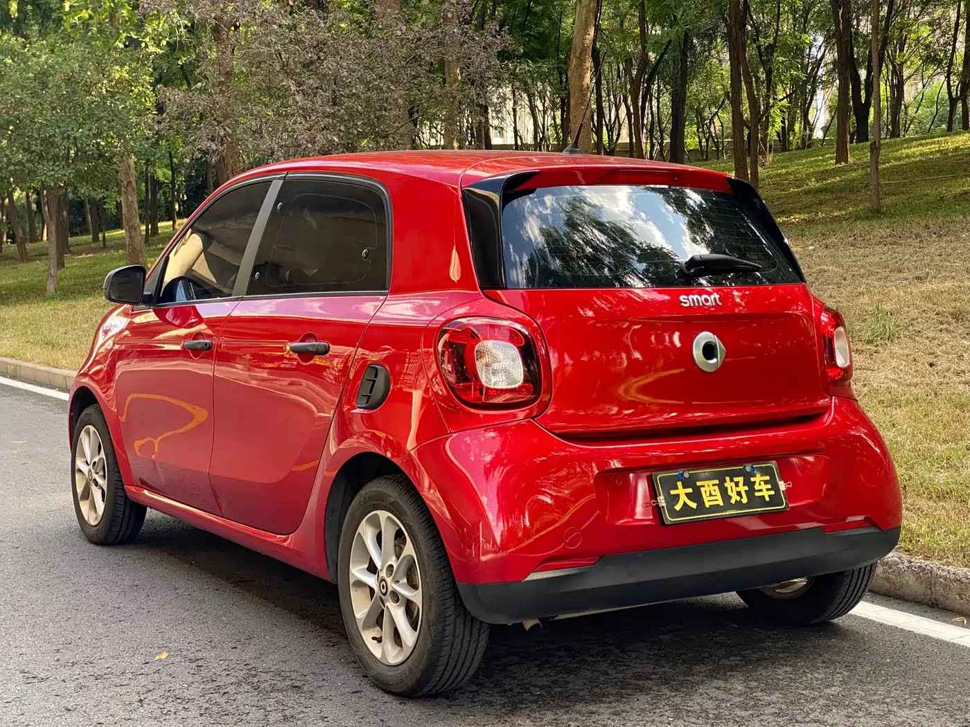 Фото 20 - smart forfour