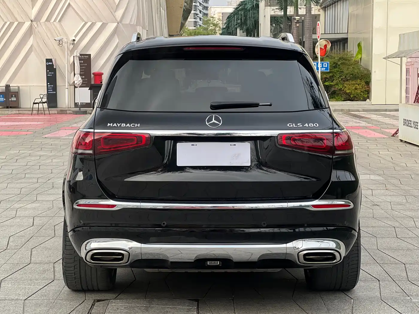 Mercedes-Benz Maybach GLS 2021 GLS 480 4MATIC фото 5