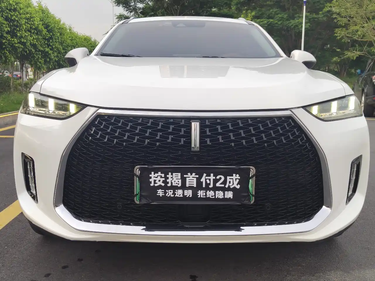 WEY P8 2018 2018 2.0T Flagship Model