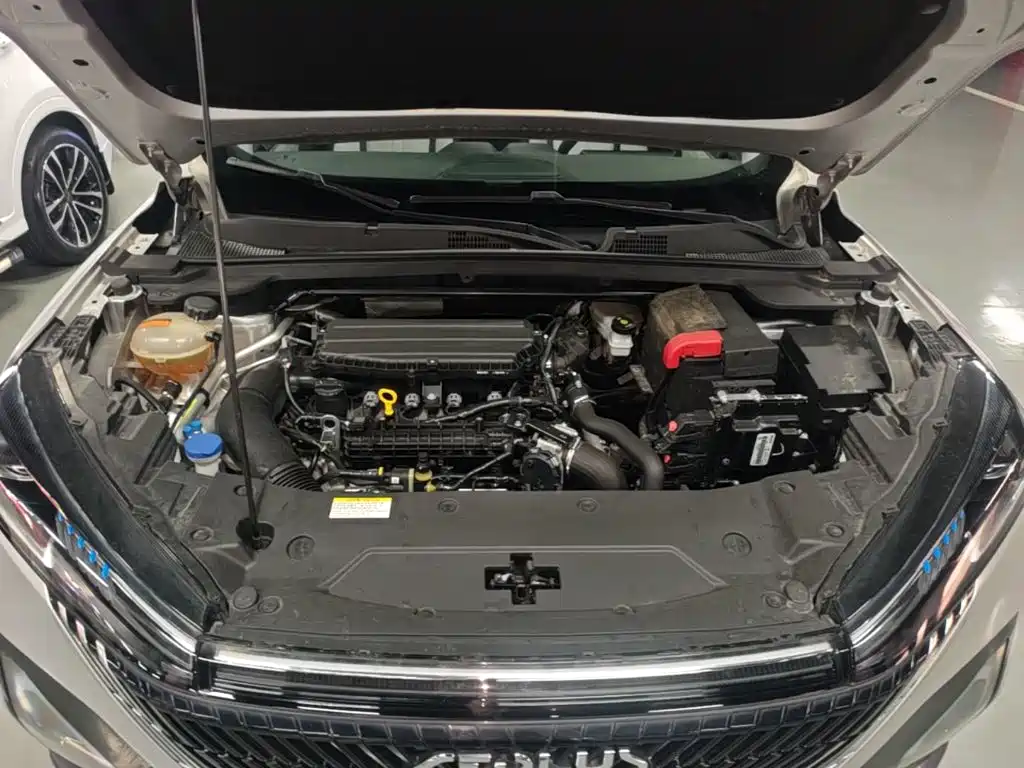 Dongfeng Aeolus Haohan 2024 2023 1.5T Premium Edition