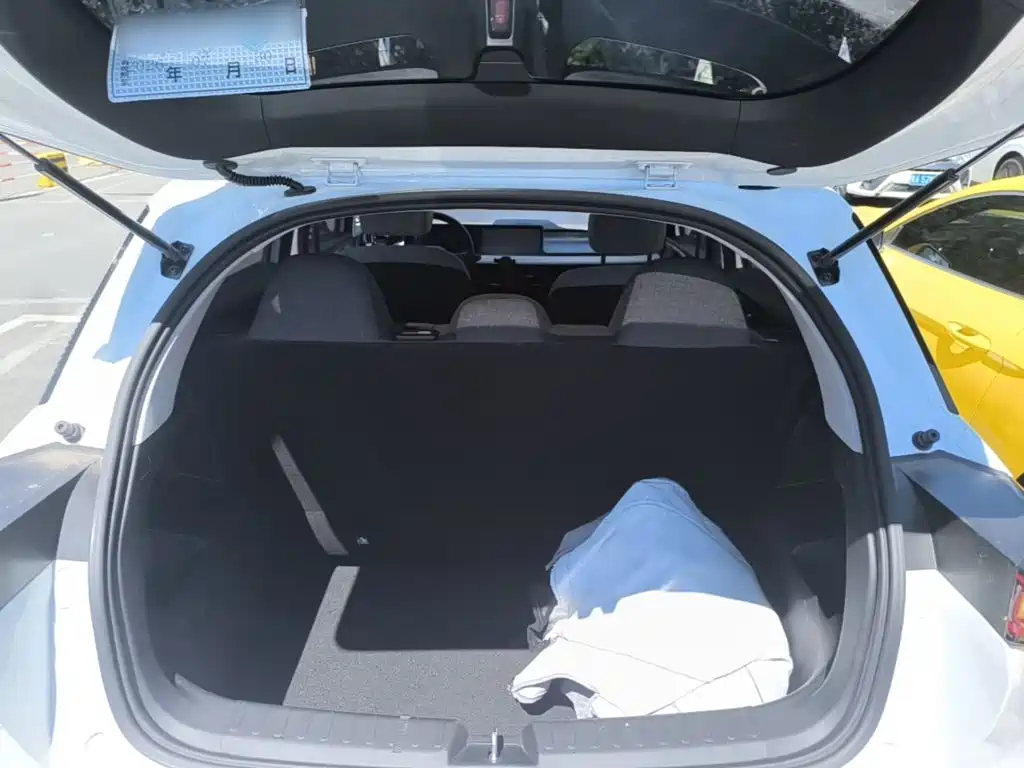 Geely Geometry E Firefly 2024 2024 Model 301km Light Flow