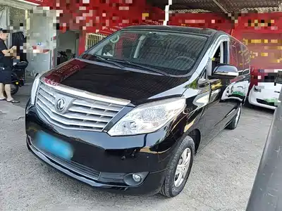Forthing Lingzhi PLUS