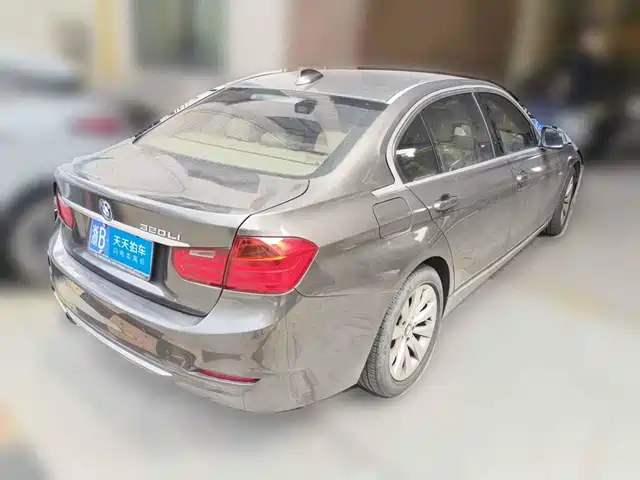 BMW 3 Series 2013 320Li Style Design Package — фото 5