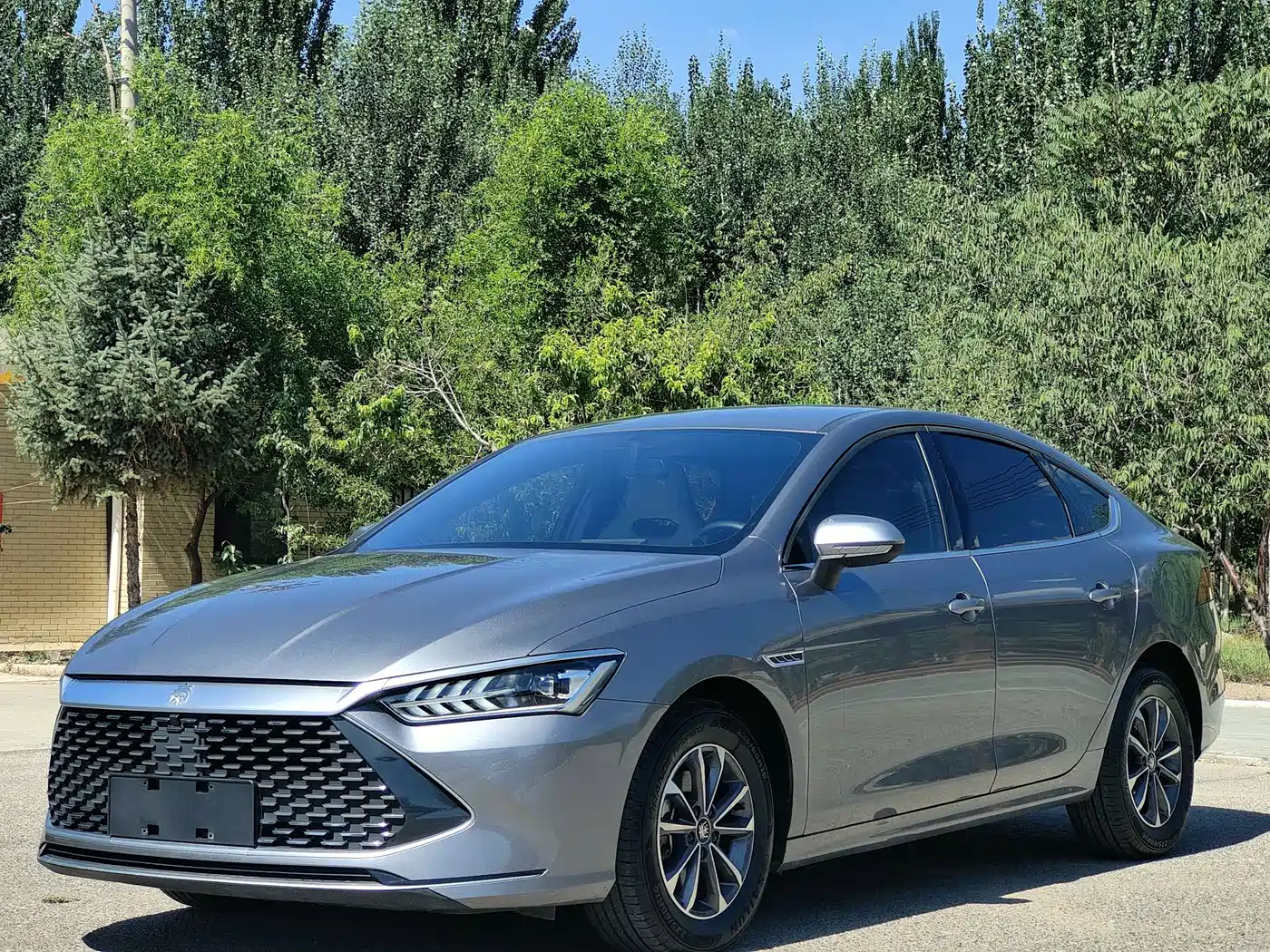 BYD Qin PLUS 2024 Glory Edition DM-i 55KM Surpass