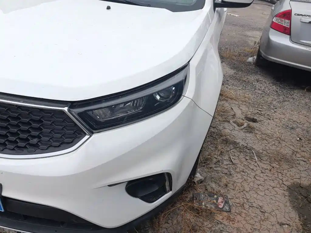 Ford Territory 2019 2019 EcoBoost 145 CVT Platinum Edition China V