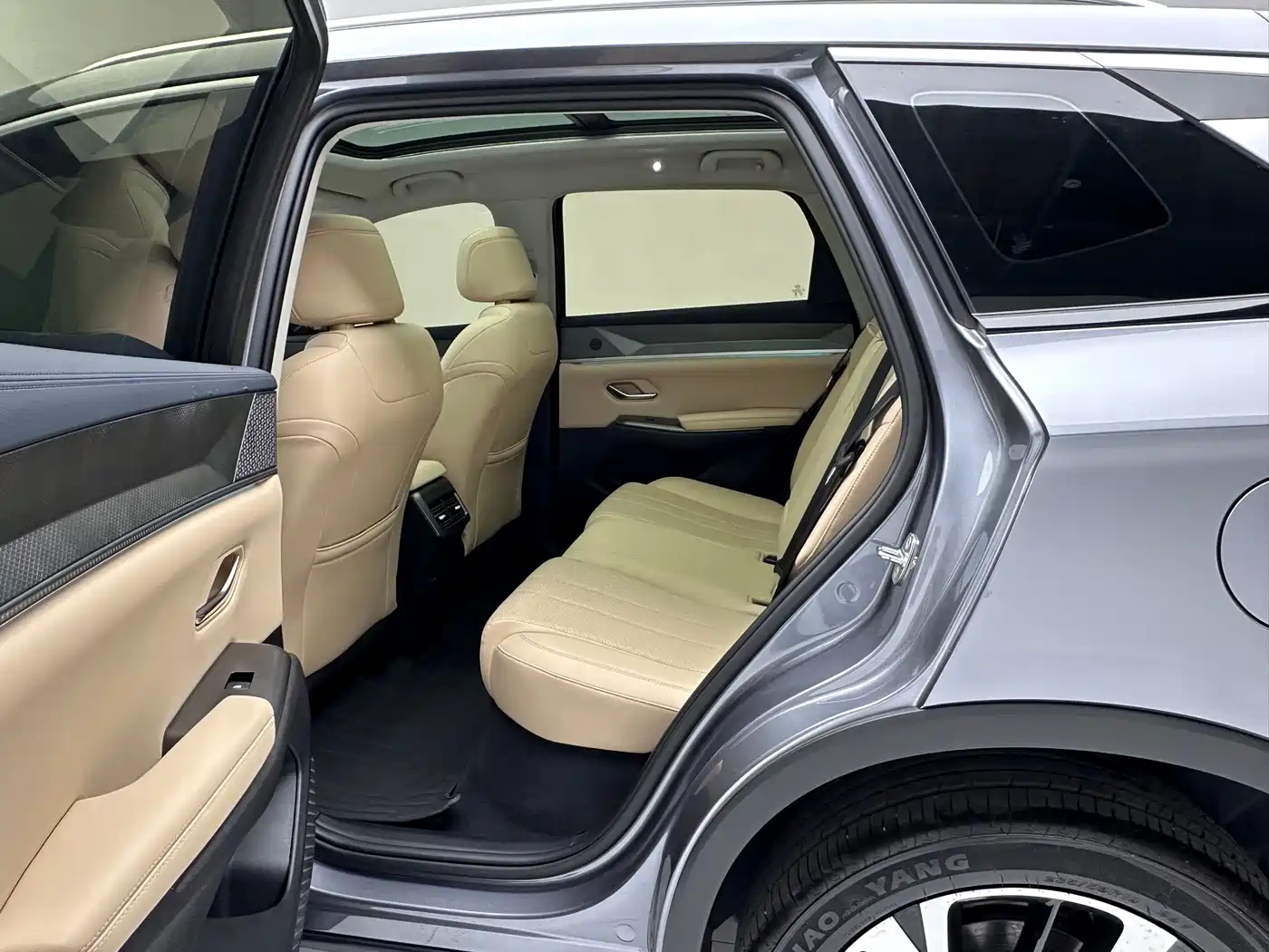 BYD SONGJIANG NEW ENERGY