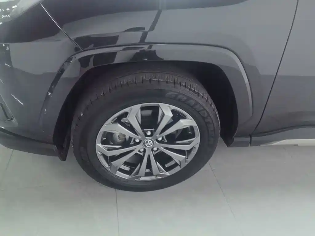 Toyota RAV4 Rongfang 2025 2024 2.0L CVT FWD Style Plus Edition