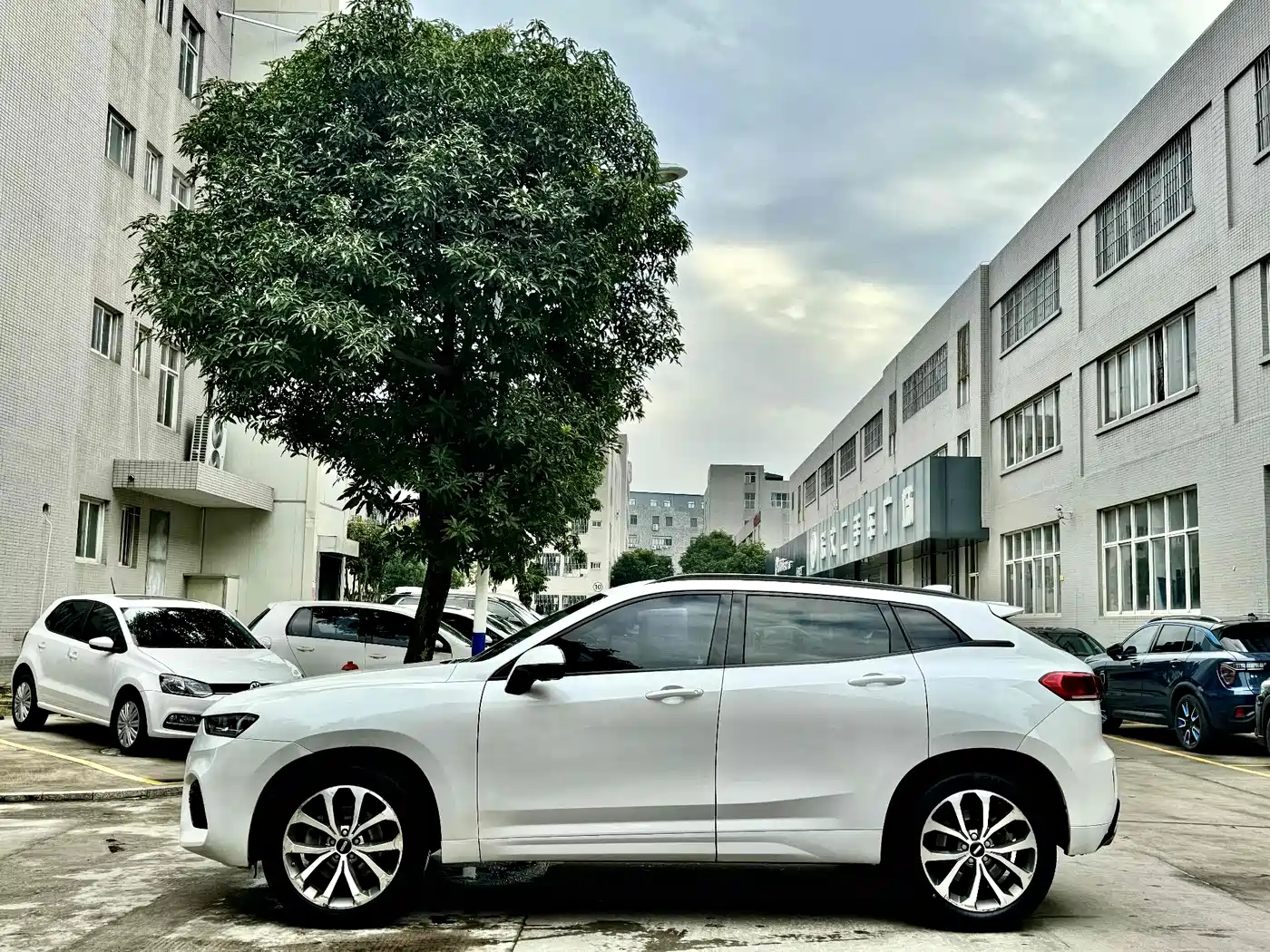 WEI PAI WEI BRAND VV7