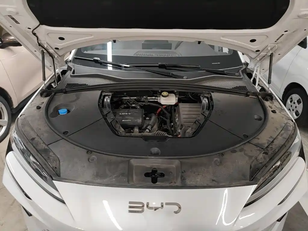 BYD Song PLUS PHEV 2024 2025 DM-i 112KM Honor