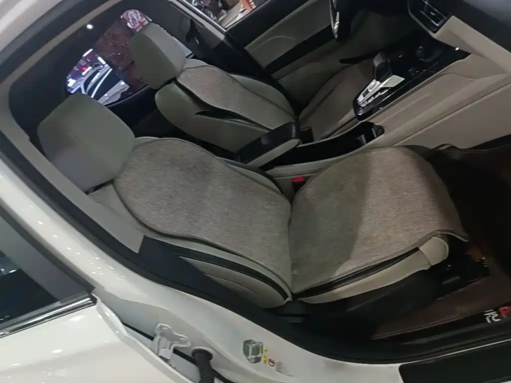 BYD Yuan Pro 2022 2021 401KM Luxury Model