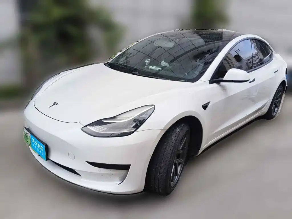 Tesla Model 3 2020