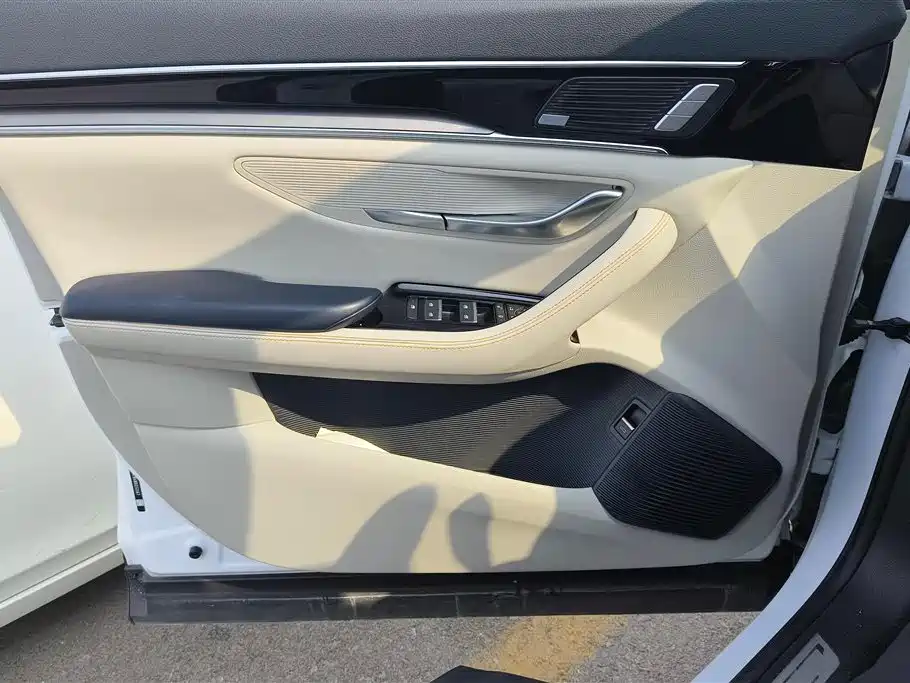 BYD Song PLUS PHEV 2021 EV Premium Model фото 7