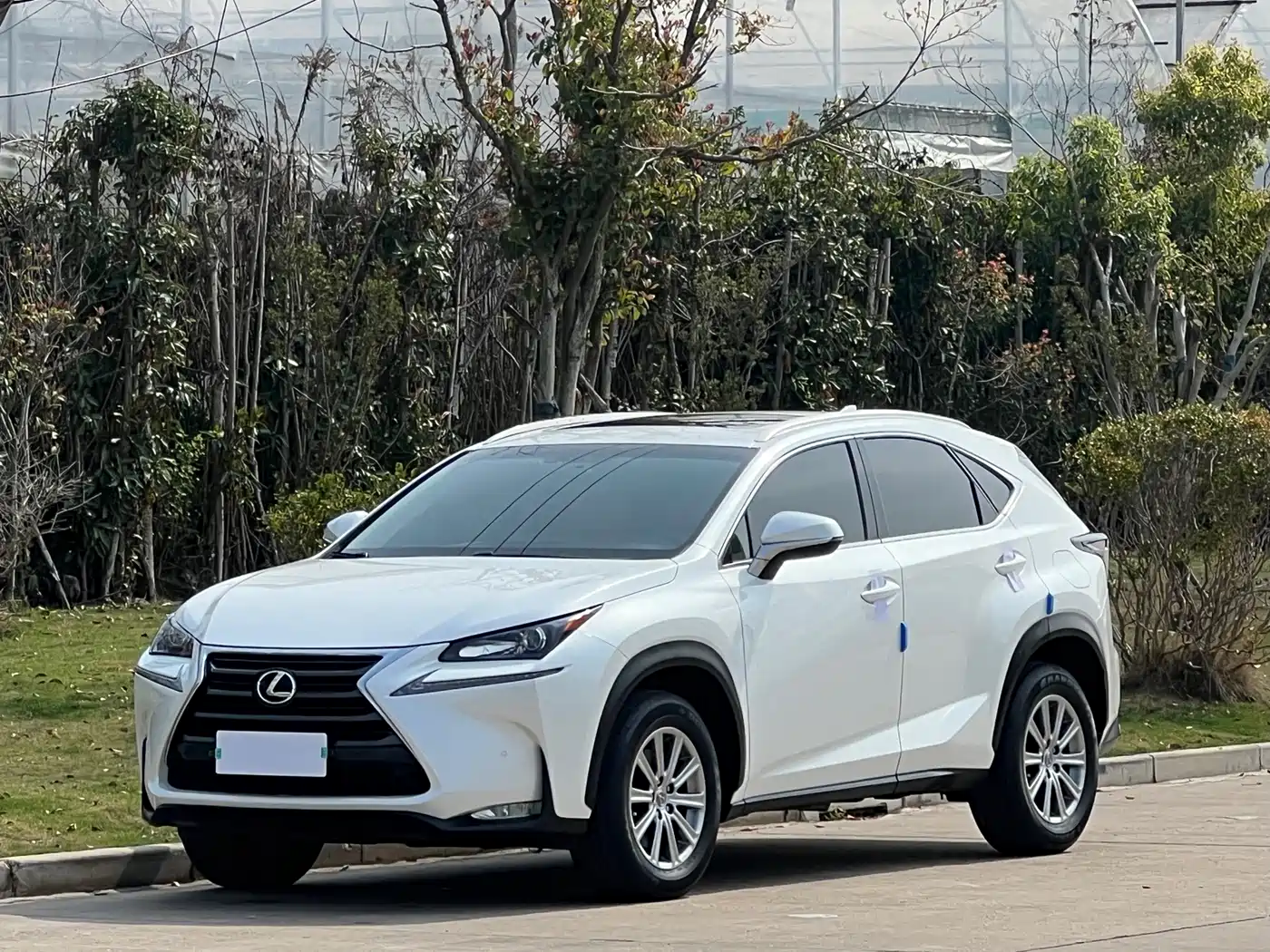 LEXUS NX