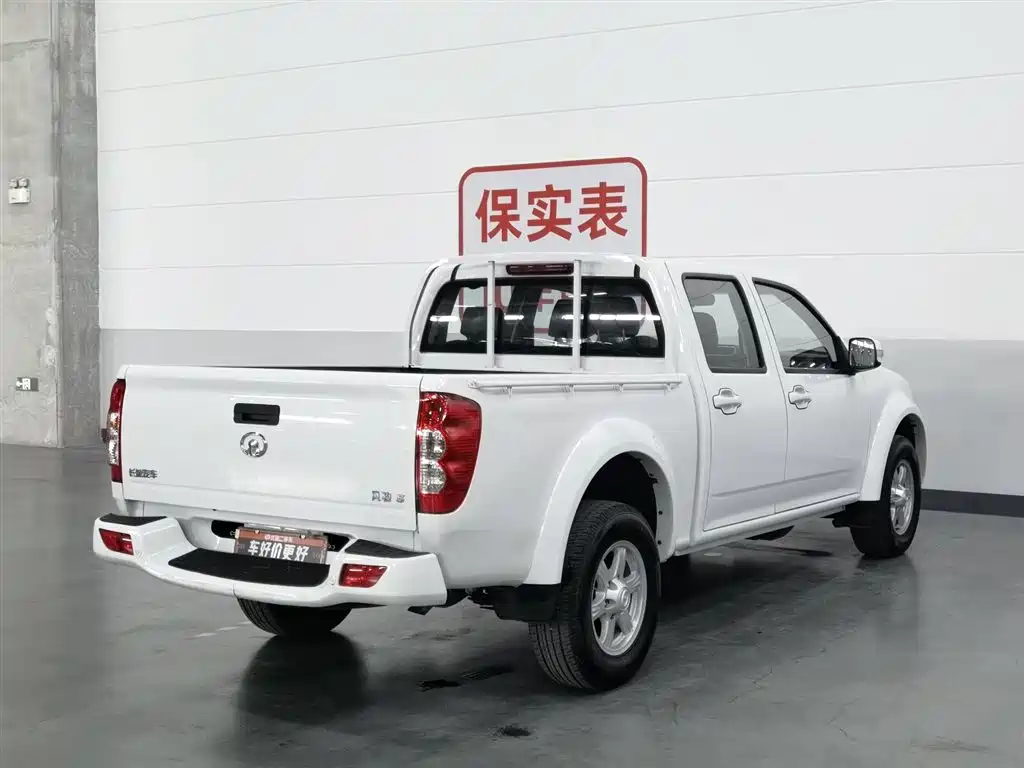 GREAT WALL FENGJUN 5