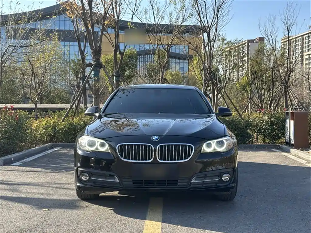 BMW 5 Series 2014 525Li Leading фото 15
