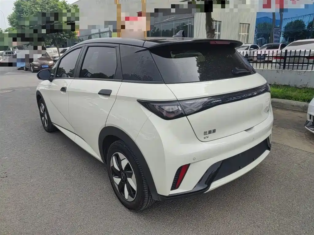 BYD Dolphin 2024 Glory Edition 420km Fashion Edition фото 5