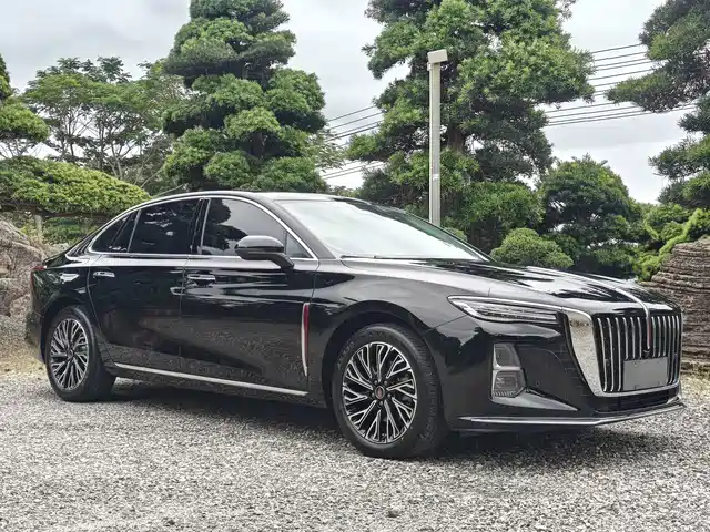 Hongqi H5 2025 2.0T Automatic Flag Celebration 500,000 Units Anniversary Edition — фото 2