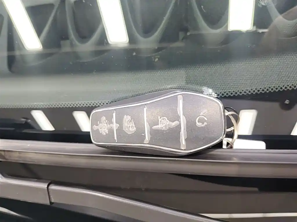 BYD Dolphin 2021 401km Knight Edition фото 9