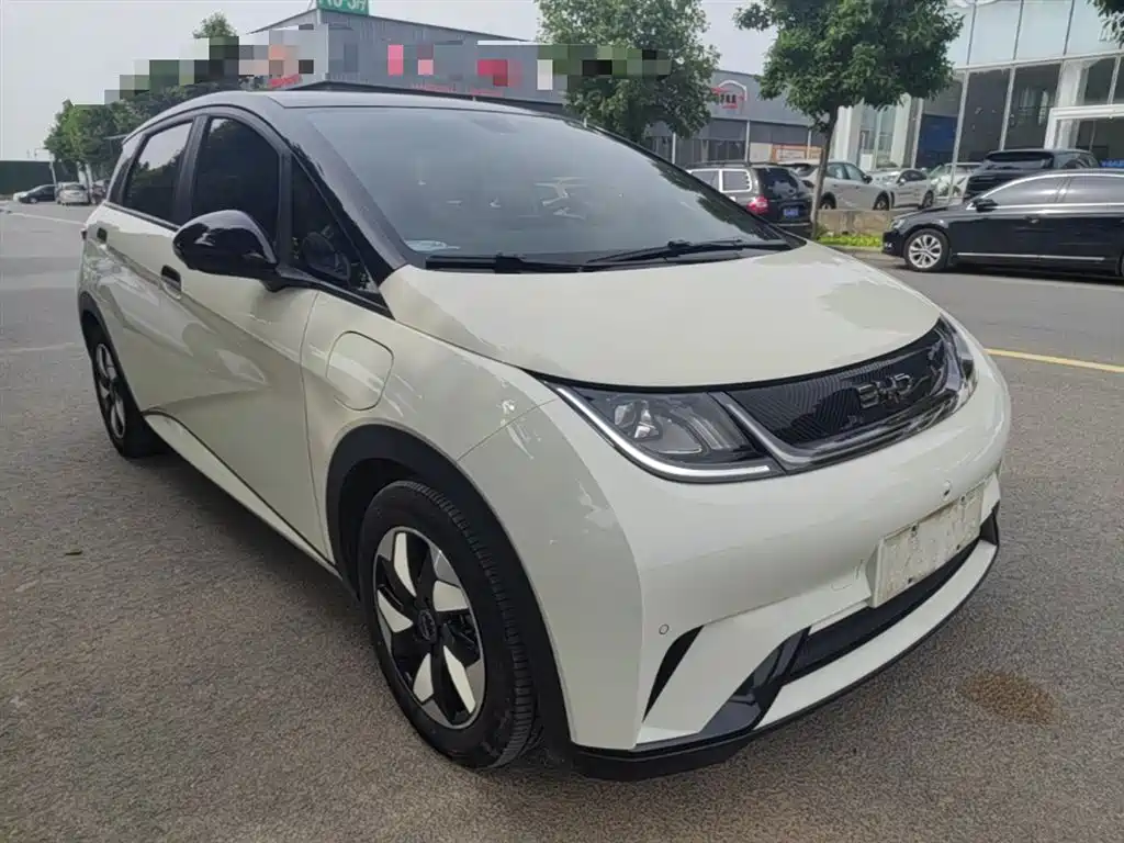 BYD Dolphin 2024 Glory Edition 420km Fashion Edition фото 4