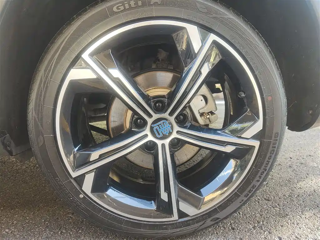 BYD Tang New Energy 2021 DM-i 112KM Honor фото 24