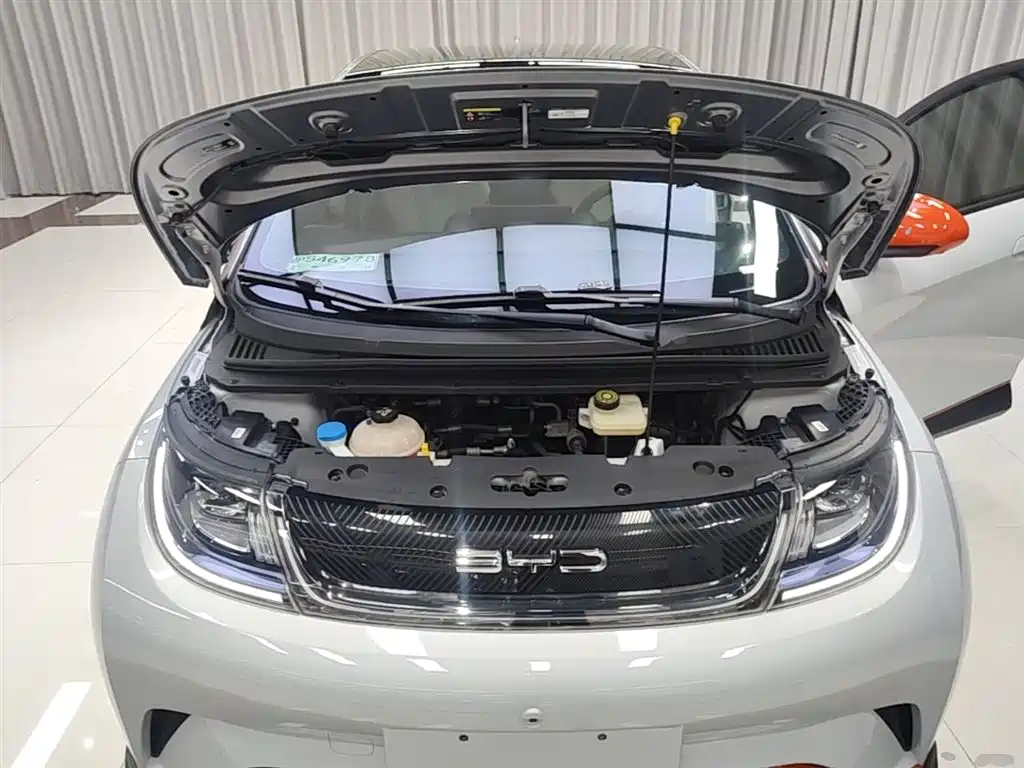BYD Dolphin 2021 401km Knight Edition фото 20