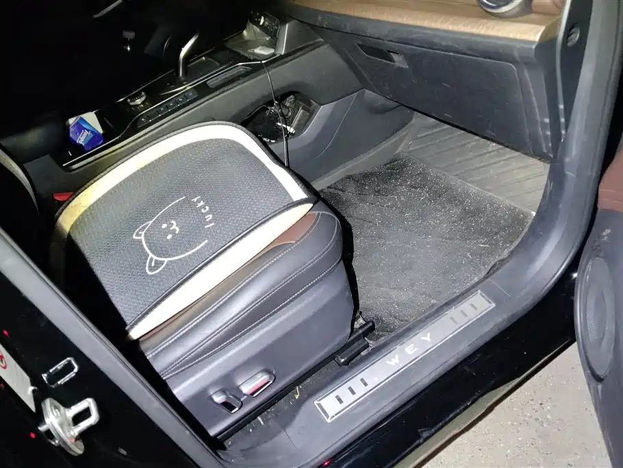 WEI PAI WEI BRAND VV5