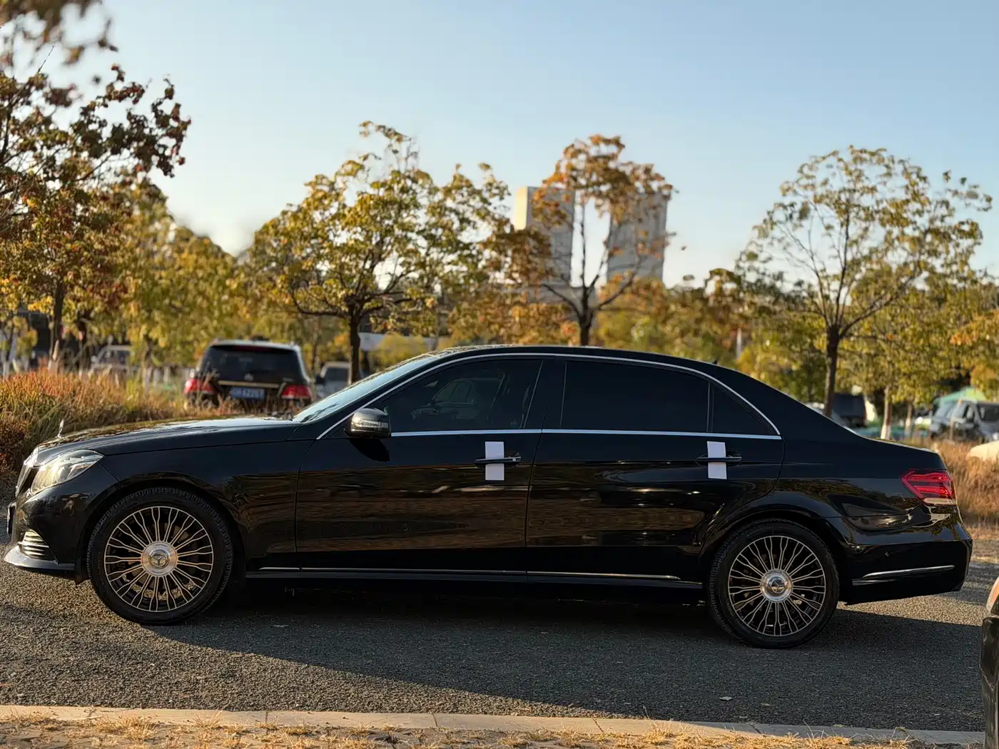 Mercedes-Benz E-Class 2015 E 320 L Luxury 4MATIC фото 12
