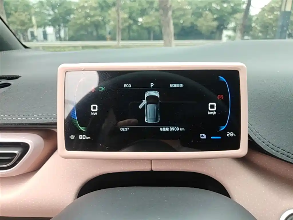 BYD Seagull 2024 Glory Edition 305km Freedom Edition фото 12