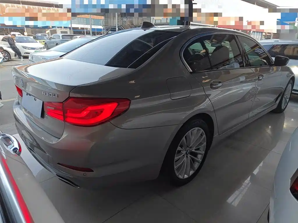 BMW 5 Series 2018 530Li Leading Luxury Package фото 23