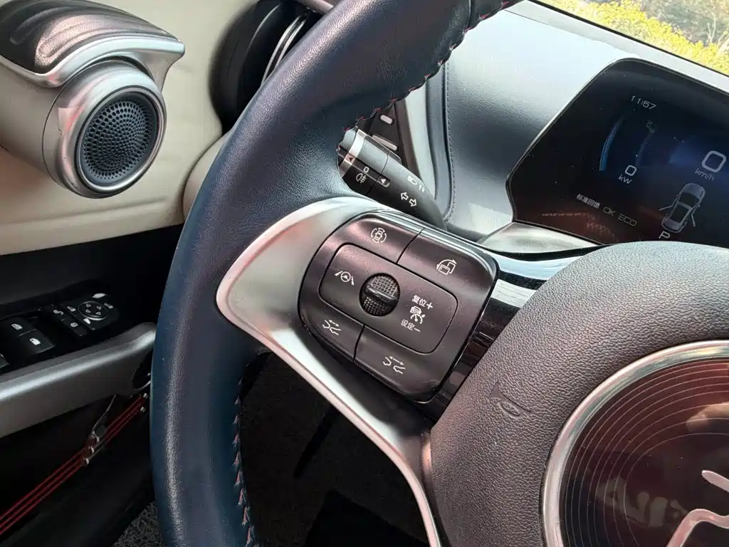 BYD Yuan PLUS 2022 2022 430KM Luxury Model