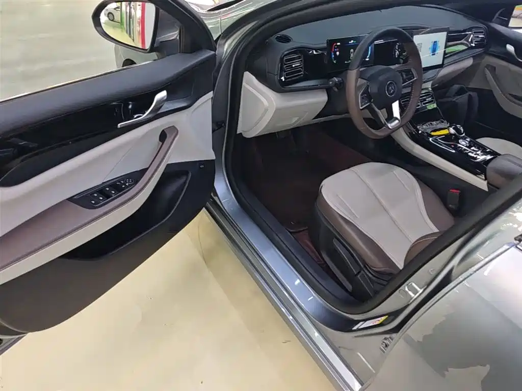 BYD Qin PLUS 2024 Glory Edition DM-i 55KM Leading фото 16