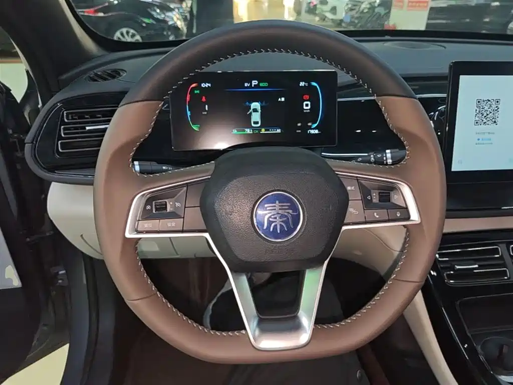 BYD Qin PLUS 2024 Glory Edition DM-i 55KM Leading фото 11