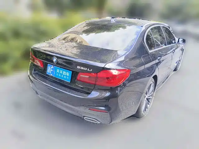 BMW 5 Series 2020 530Li Exclusive M Sport Package — фото 2